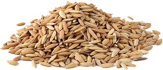 rice 4