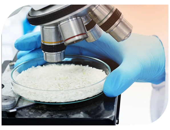 The Art of Perfect Rice