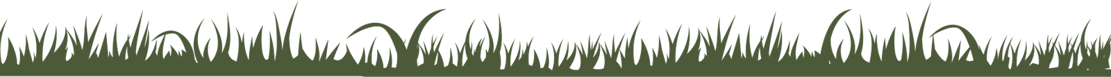 footer-top-bg