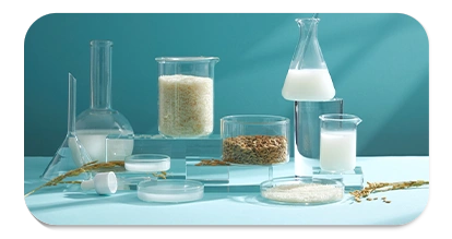 In-House Quality Testing Lab