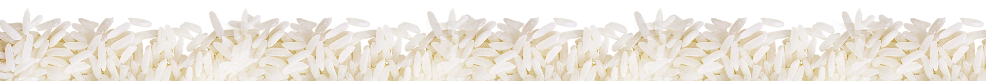 rice-11