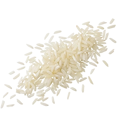 rice12