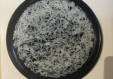 The Art of Perfect Rice