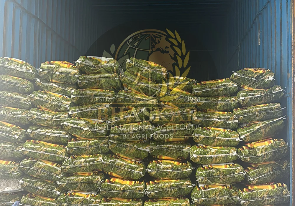 The Art of Perfect Rice