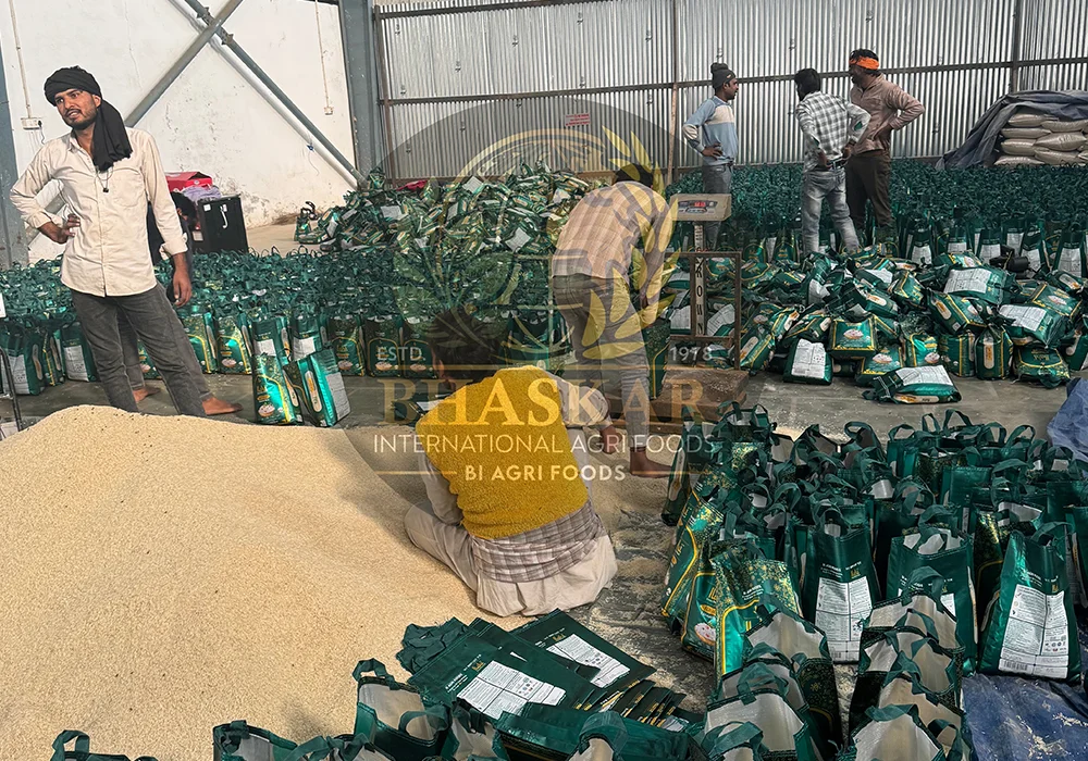 The Art of Perfect Rice