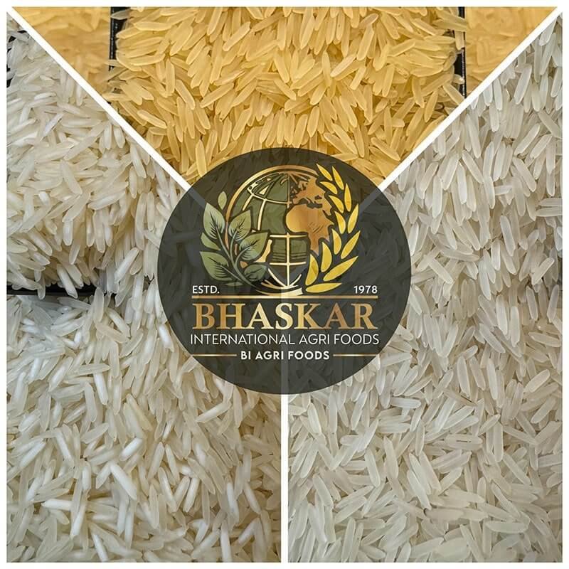 1121 Basmati Rice