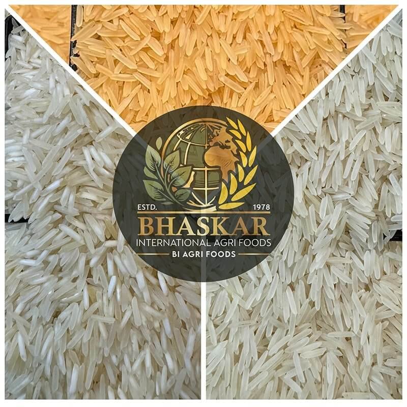 1509 Basmati Rice