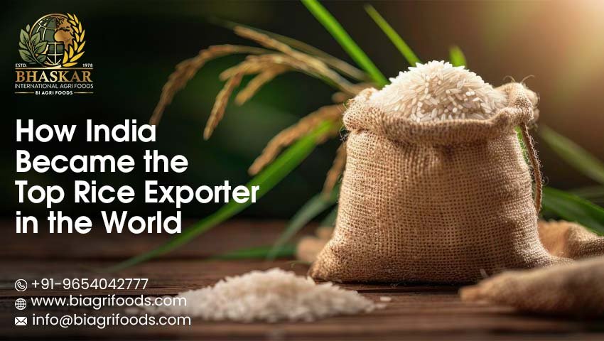 Top Rice Exporter in India