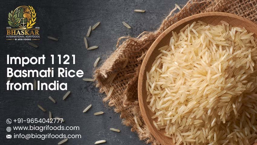 Import 1121 Basmati Rice from India