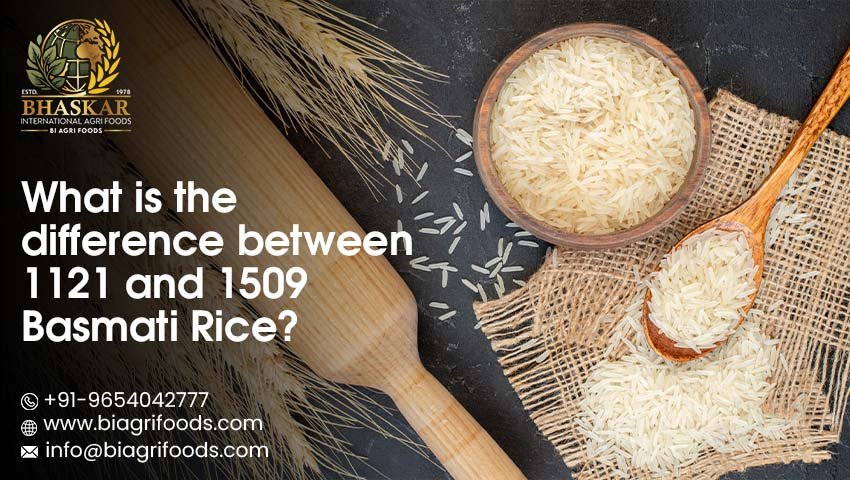 1121 Basmati Rice Exporters