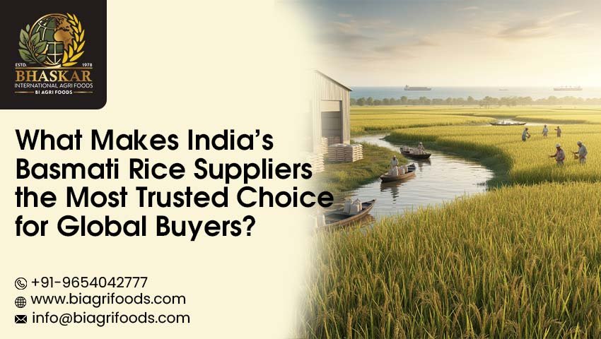 Basmati Rice Suppliers in India