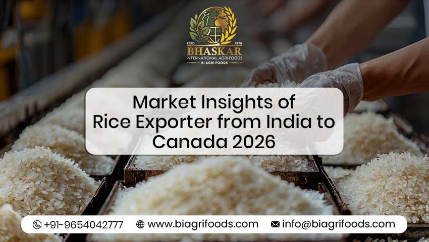 Rice Exporter from India to Canada