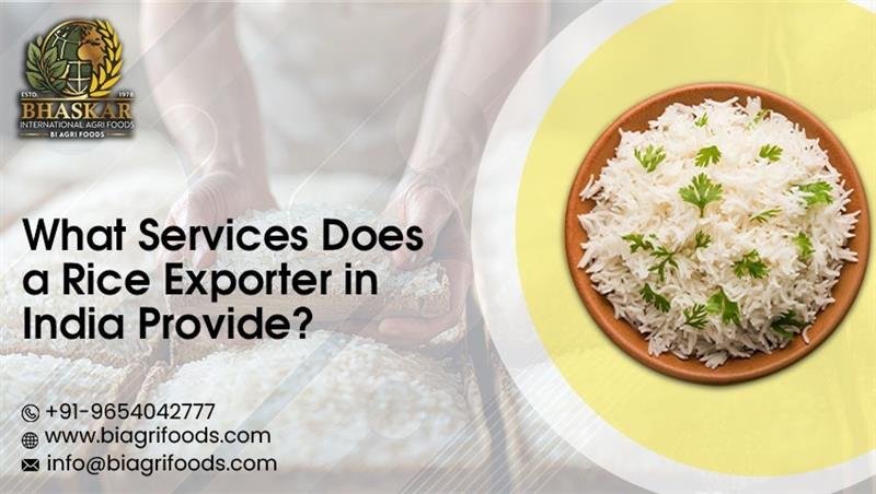 Rice Exporter in India