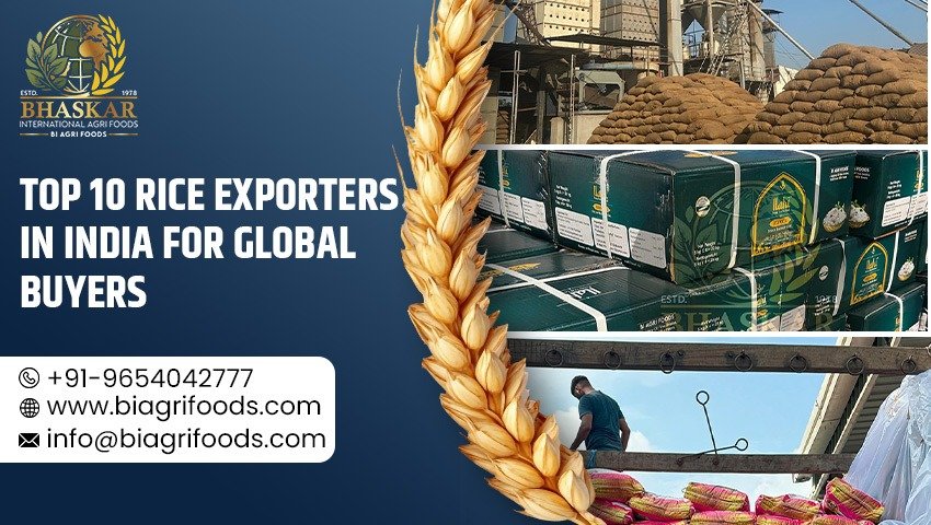 Top 10 Rice Exporters in India