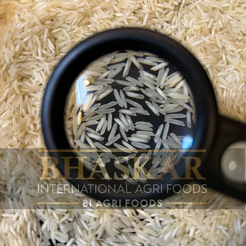 Rice 1509 Steam Basmati2