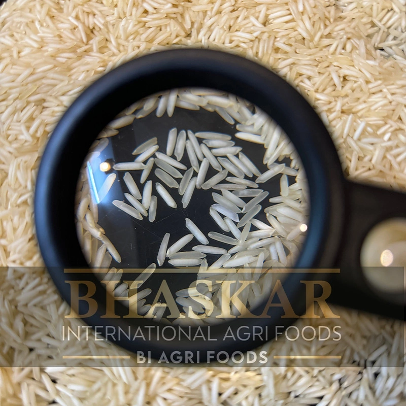 Rice 1718 Steam Basmati2