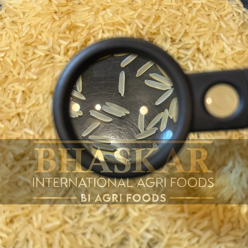 Rice 1718 Sella golden Basmati2