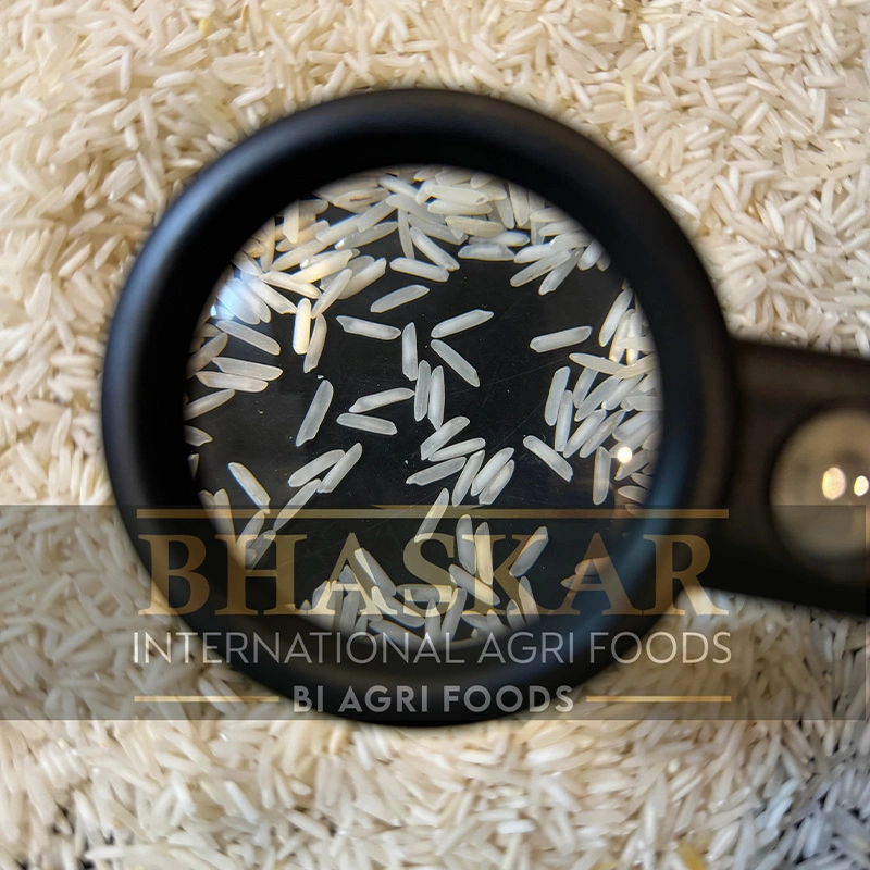 Rice pb1 Raw Basmati2