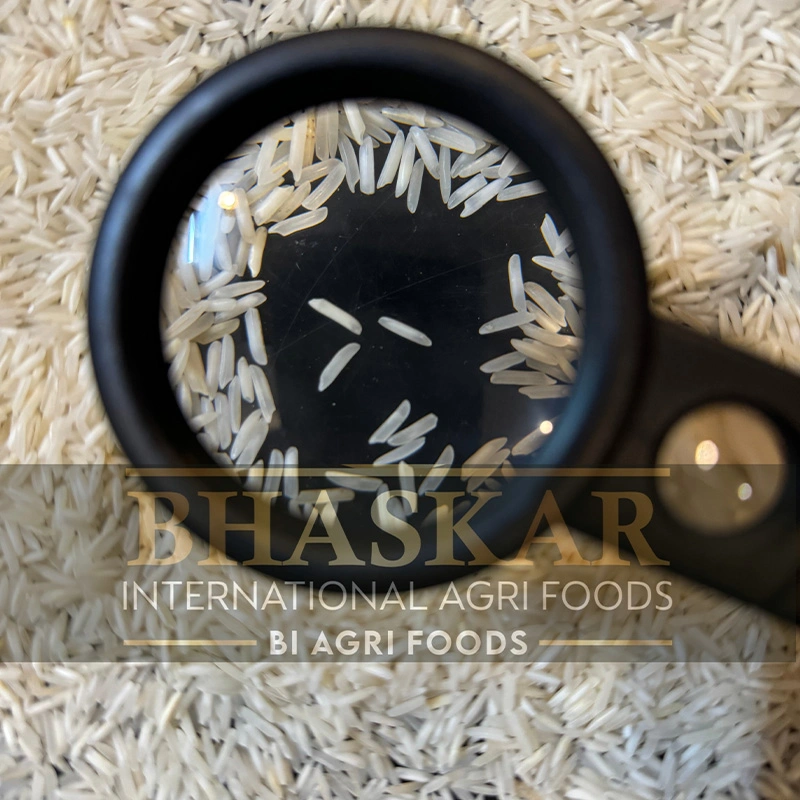 Rice Sharbati Raw Non-Basmati2